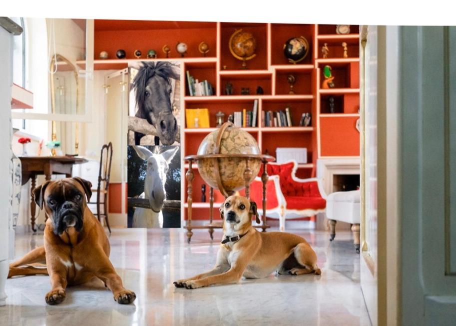 Casal Ponziani Per Civita E Dintorni Villa Bagnoregio Ngoại thất bức ảnh